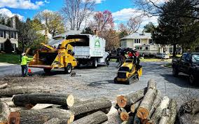 Best Firewood Processing and Delivery  in Lilburn, GA